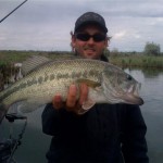 Handsome 4lb Largemouth