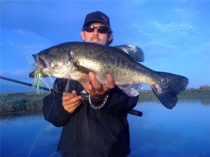 Spinner Bait Bass Deep in Crab Creek