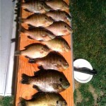 panfish-dinner