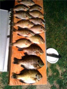 panfish-dinner